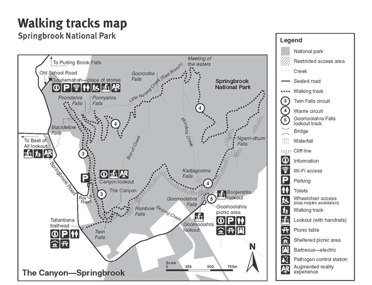 Springbrook Walking Tracks Map
