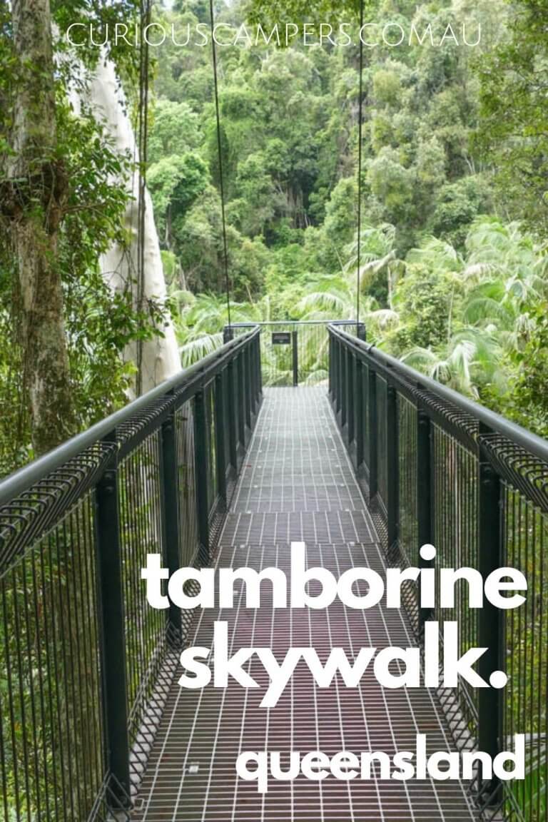 Tamborine Rainforest Skywalk Review