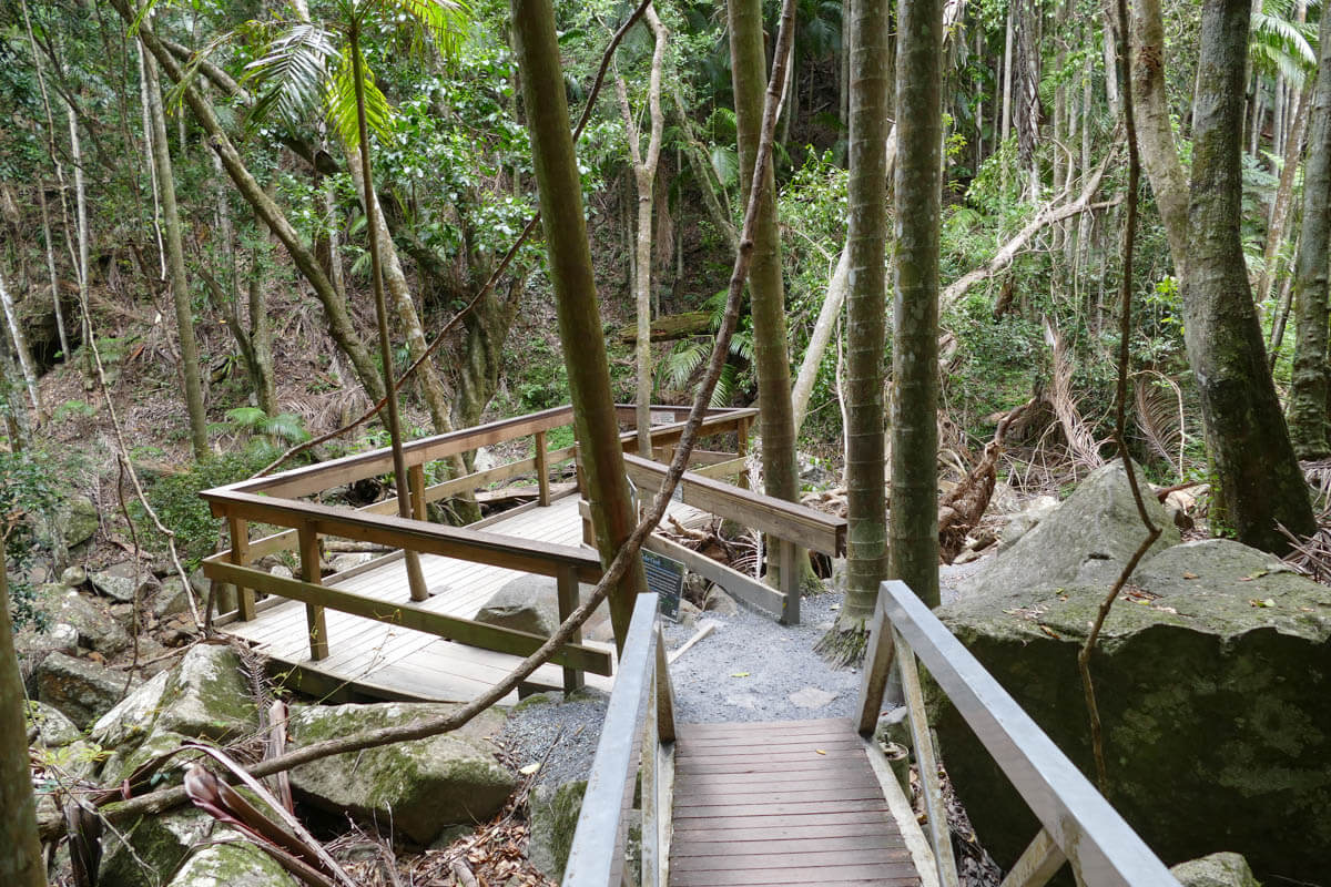 Tamborine Rainforest Lookout