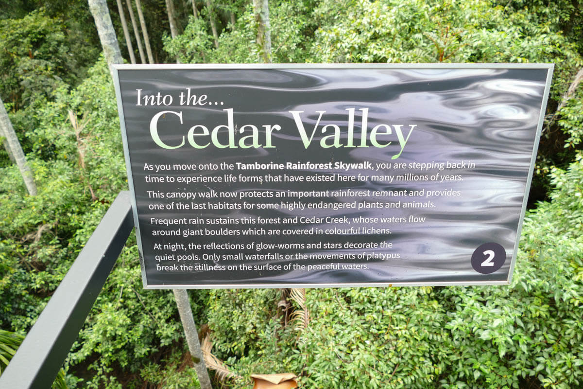 The Cedar Valley Rainforest Walk