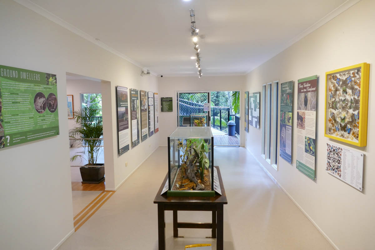 Tamborine Rainforest Eco Gallery