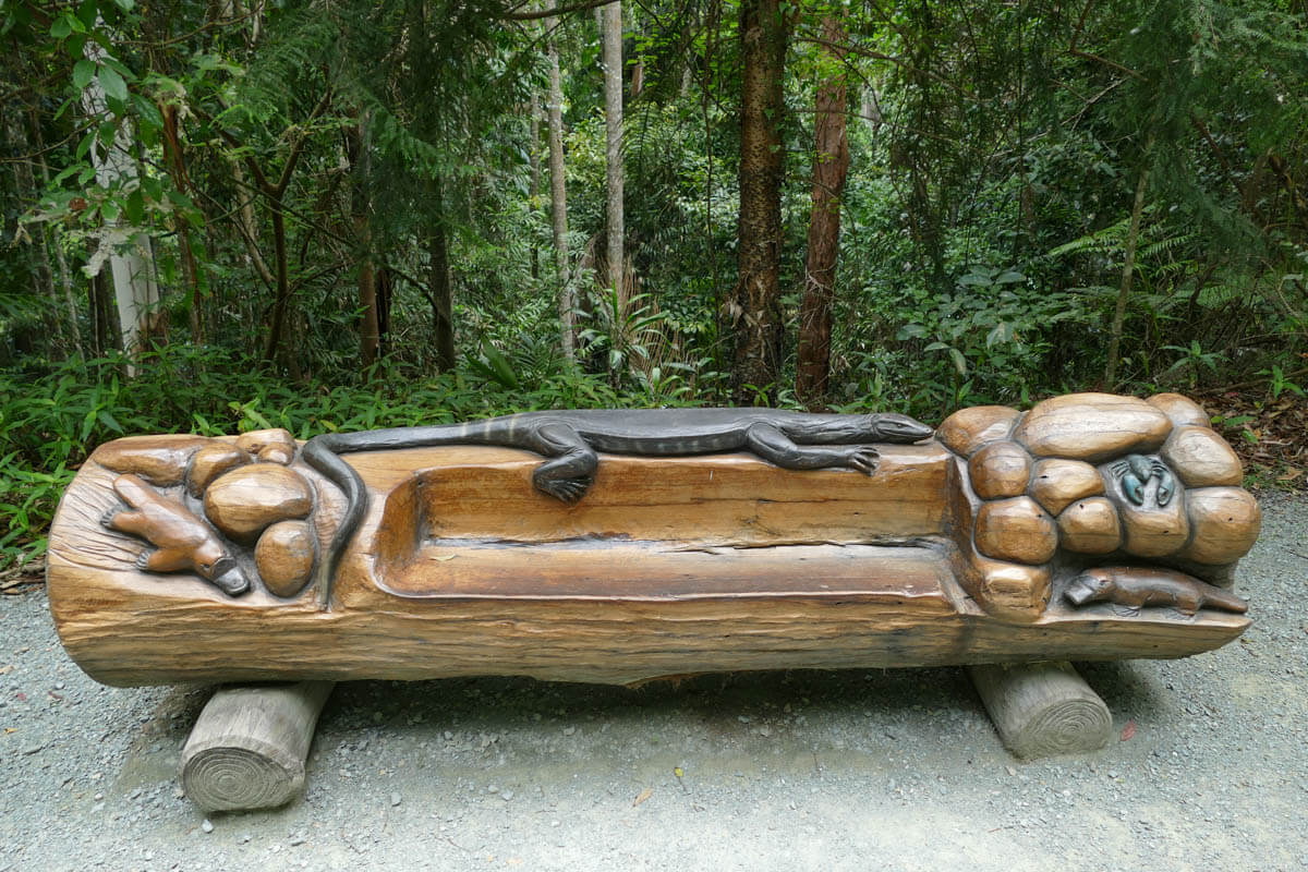 Tamborine Rainforest Historic Carving