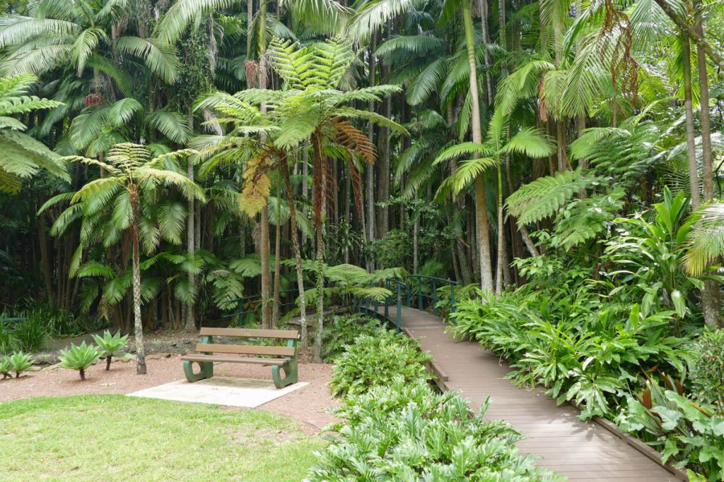 Tamborine Mountain Botanic Gardens Walks