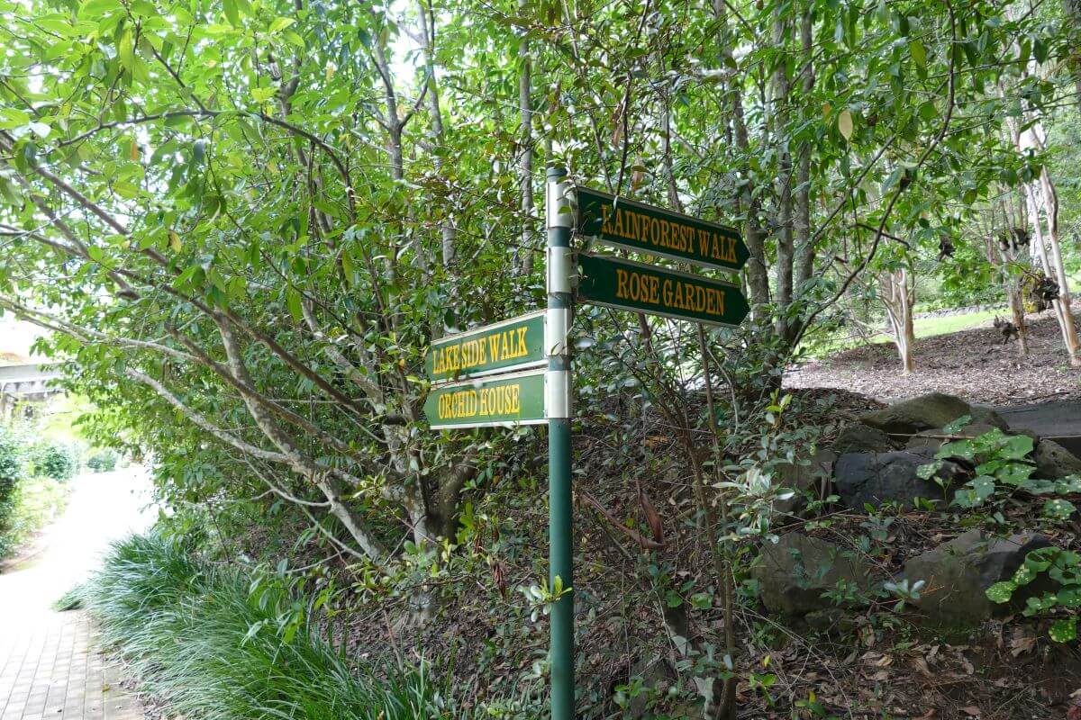 tamborine mountain botanic garden