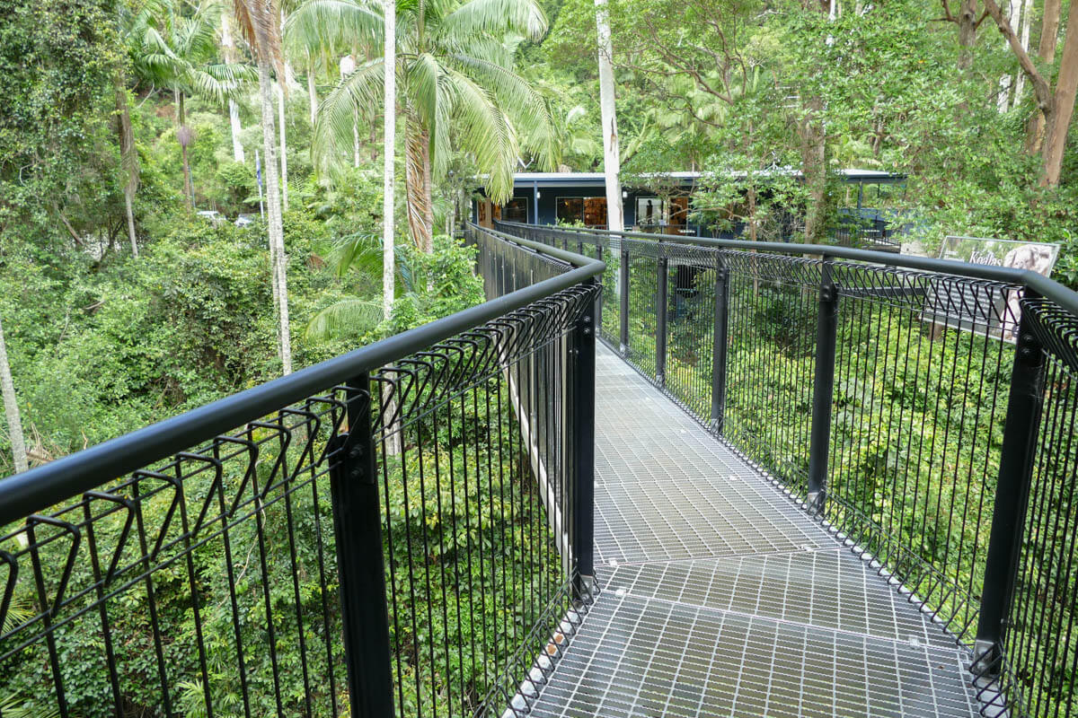 Tamborine Rainforest Skywalk