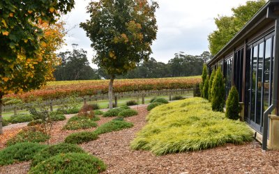 Things to do in Bowral – Cricket, Cafes & Wine