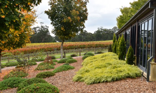 Things to do in Bowral – Cricket, Cafes & Wine