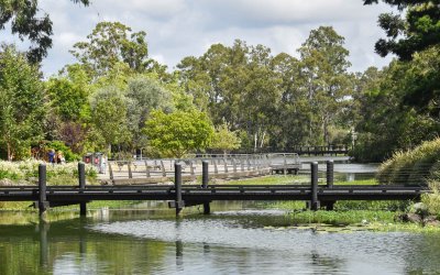 Gold Coast Botanic Gardens – Activity Guide