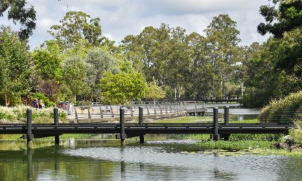 Gold Coast Botanic Gardens – Activity Guide