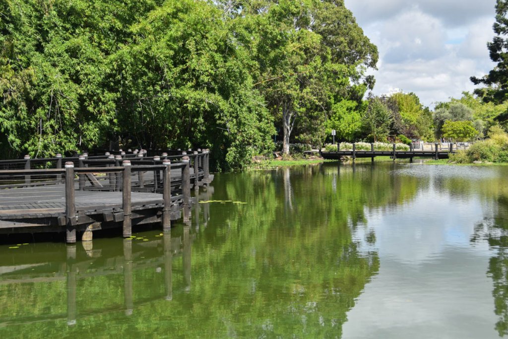 Gold Coast Botanic Garden Feature Lake