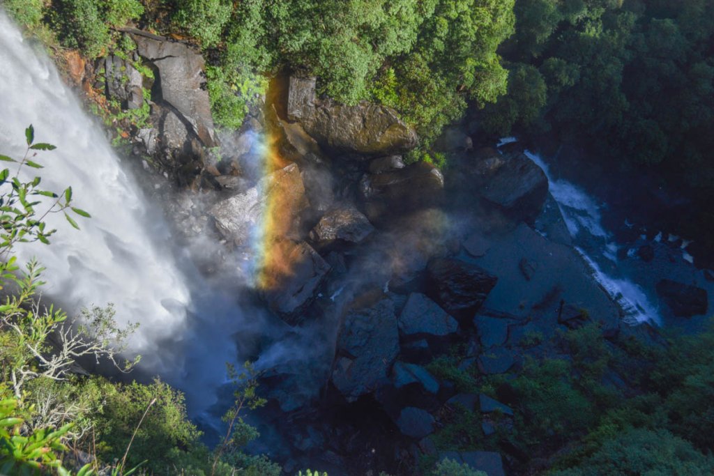 Fitzroy Falls