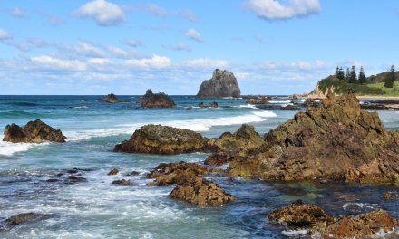 Things to do in Narooma – Attraction & Activity Guide