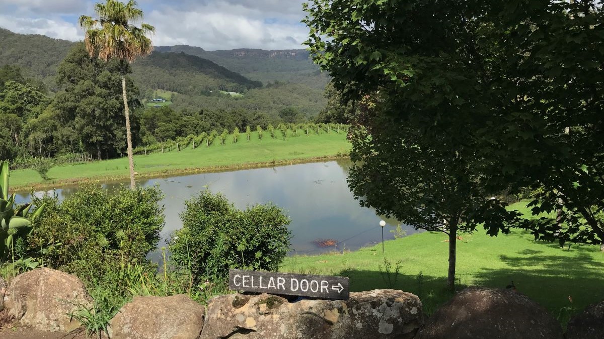 things to do in kangaroo valley - winery