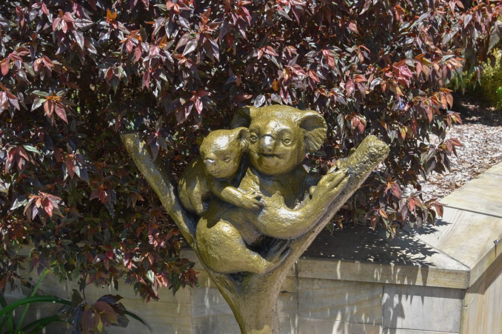 Gold Coast Botanical Gardens Koala Sculpture