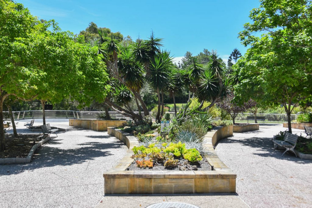 Sensory Garden Gold Coast Botanic Gardens