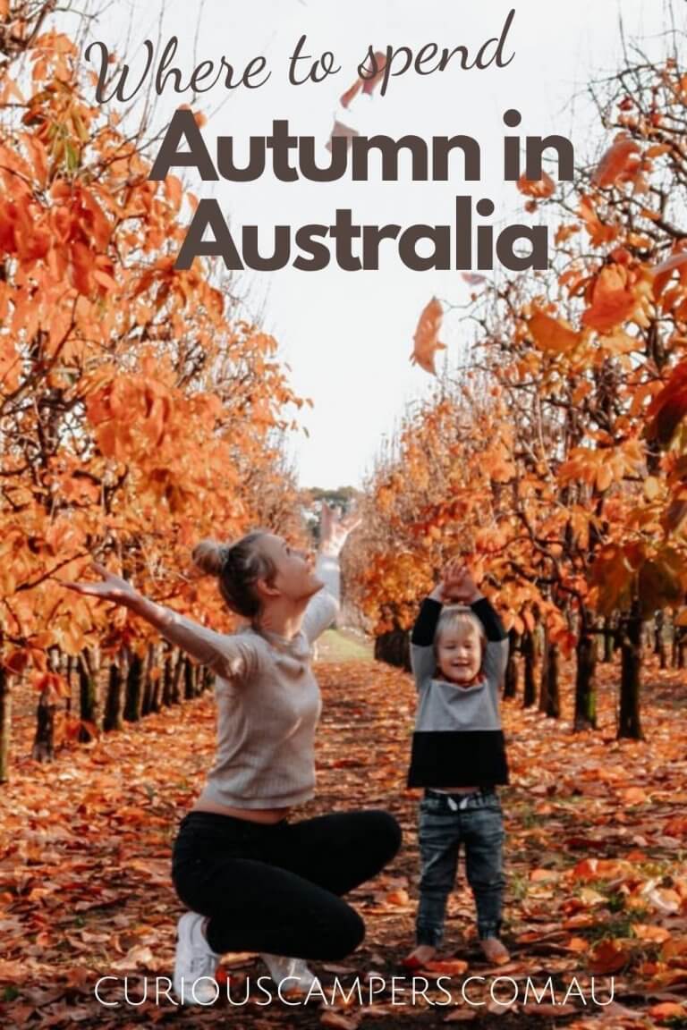 Where to Spend Autumn in Australia Curious Campers