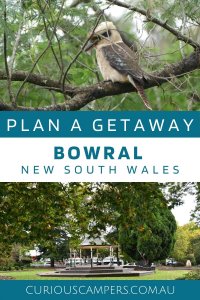 Things to do in Bowral