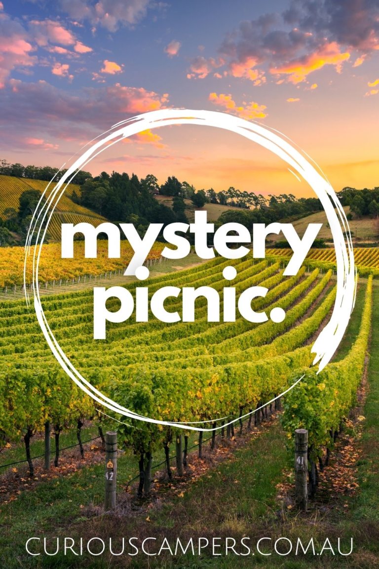 mystery picnic tour york