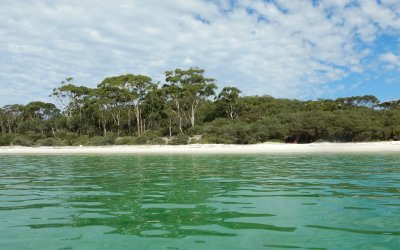 Things to do in Jervis Bay – Visitor Guide
