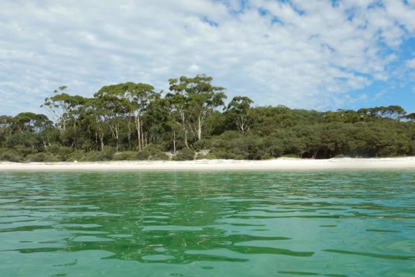 Things to do in Jervis Bay | Visitor Guide