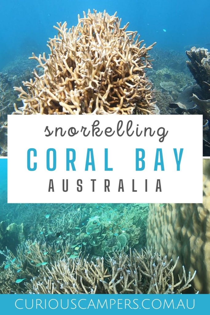 Coral Bay Snorkelling Guide