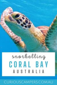 Coral Bay Snorkel