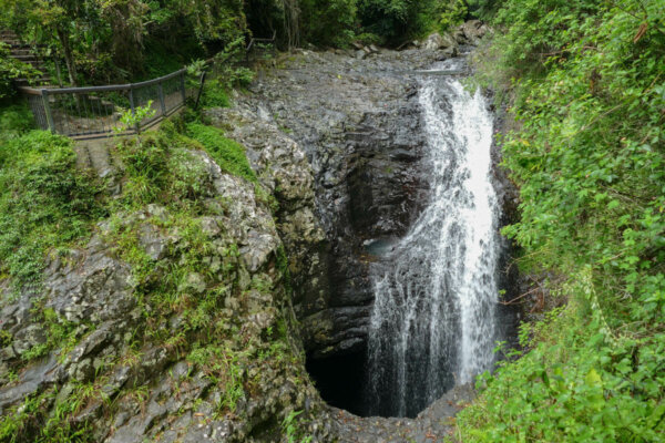 7 Amazing Waterfalls at Springbrook National Park