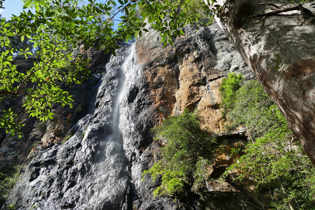 Purling Brook Falls Walks