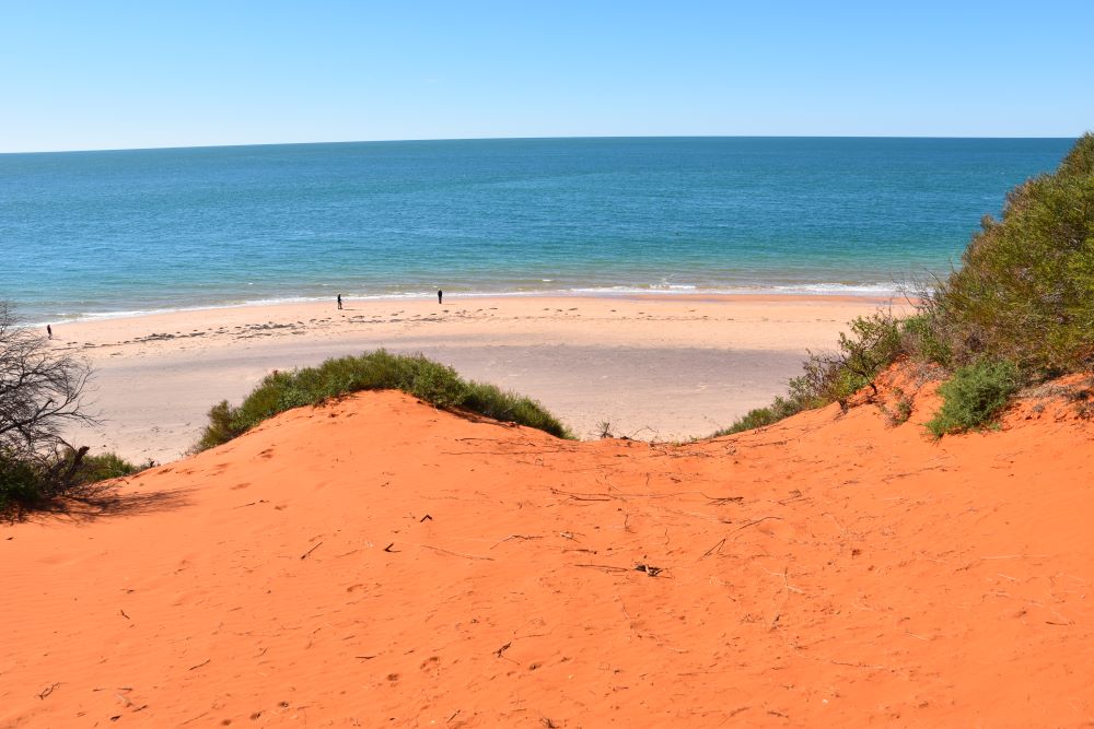 Things to do in Shark Bay
