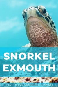 Exmouth Snorkelling