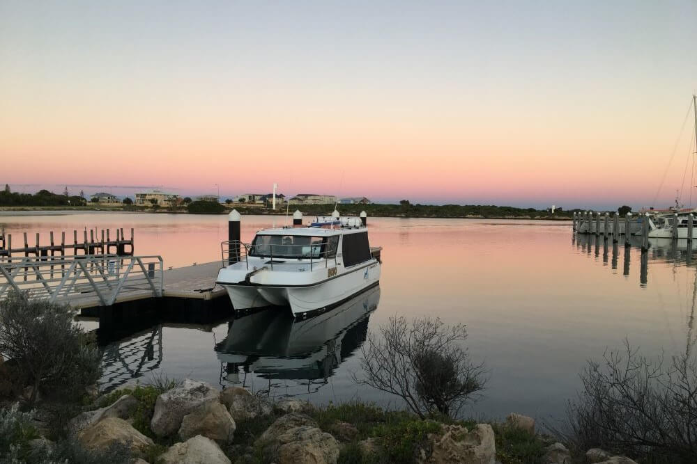 Jurien Bay Sea lion Cruise