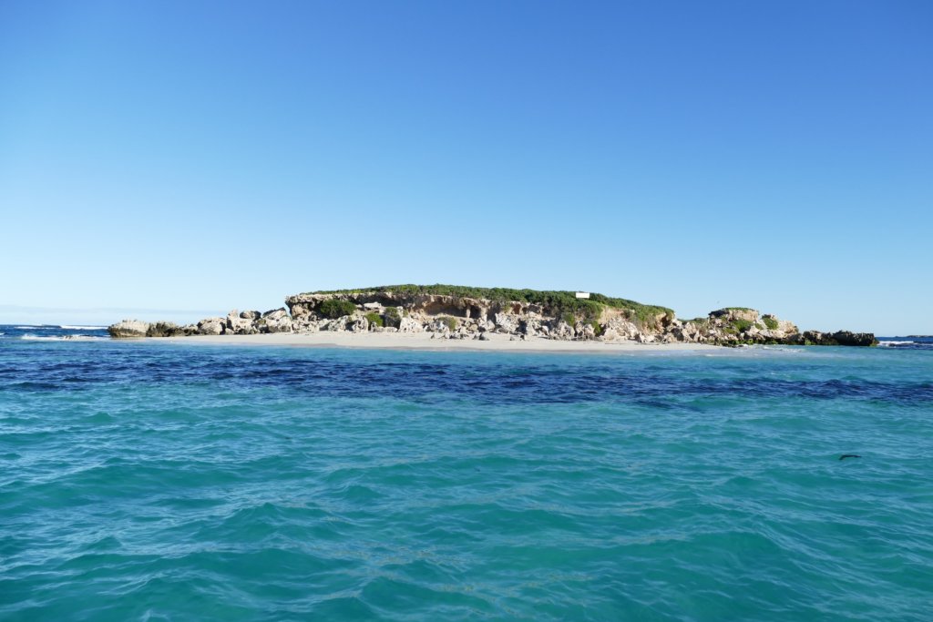 Jurien Bay Sea Lion Island