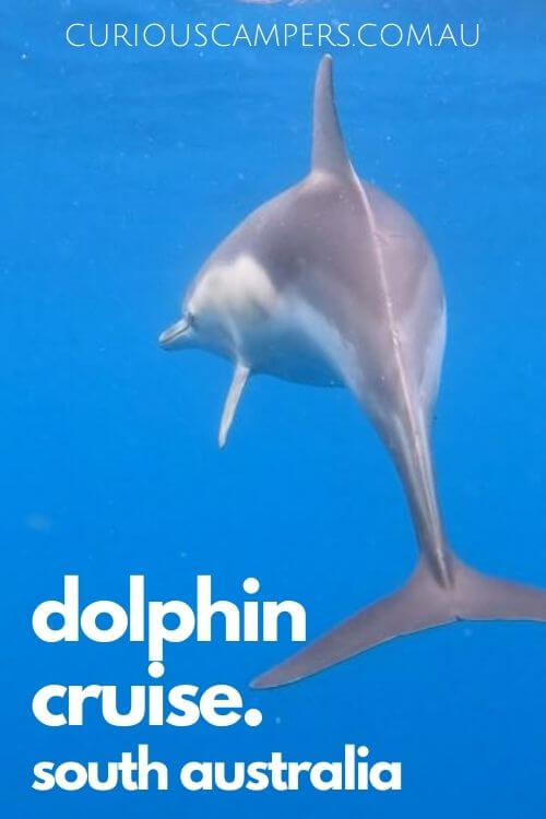 Adelaide Dolphin Cruises