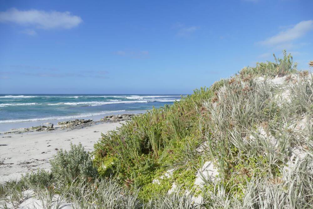 Bales Beach 