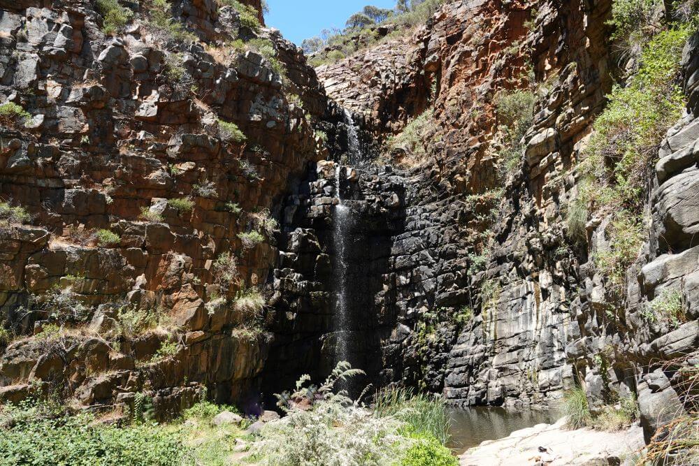 Morialta First Falls