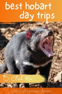 Day trips from Hobart