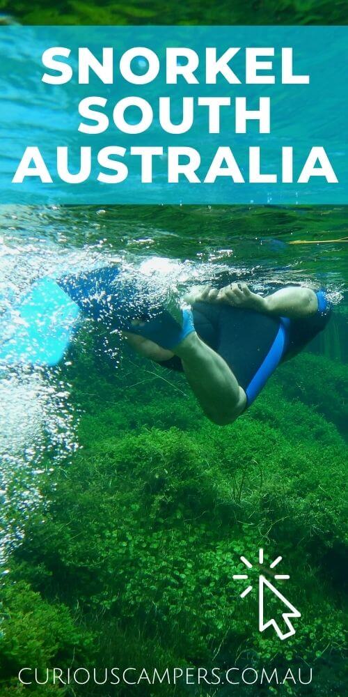 Snorkel South Australia
