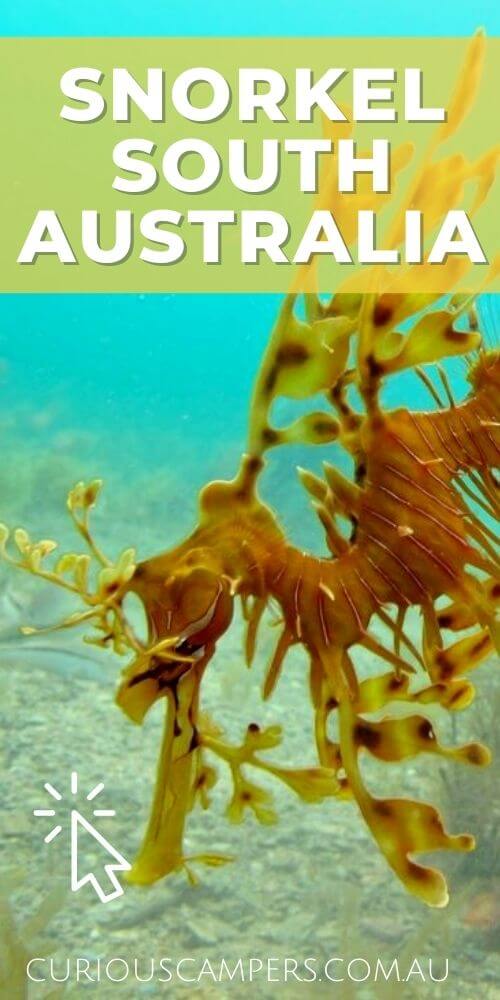 Snorkel Australia