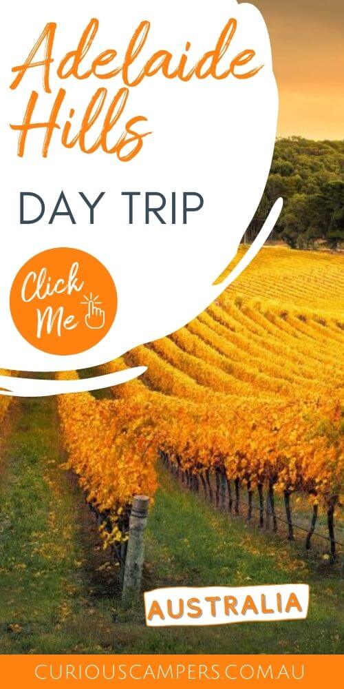 Things to do in the Adelaide Hills Winery