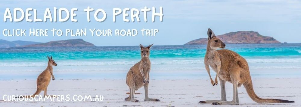 Perjalanan Darat Adelaide ke Perth