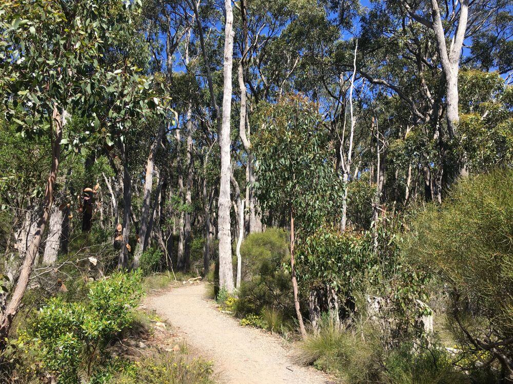 Adelaide Hills Walks