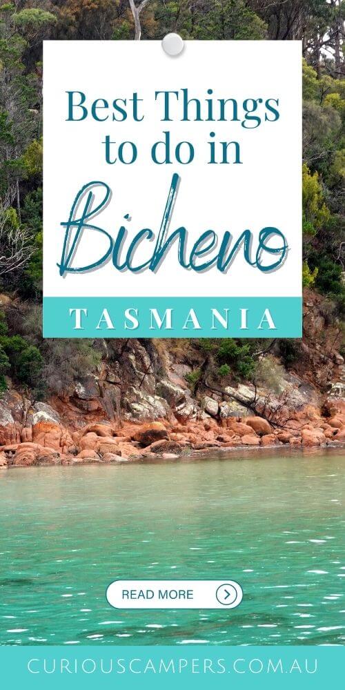 Things to do in Bicheno