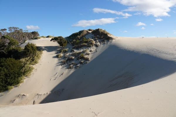 Henty Sand Dunes Strahan