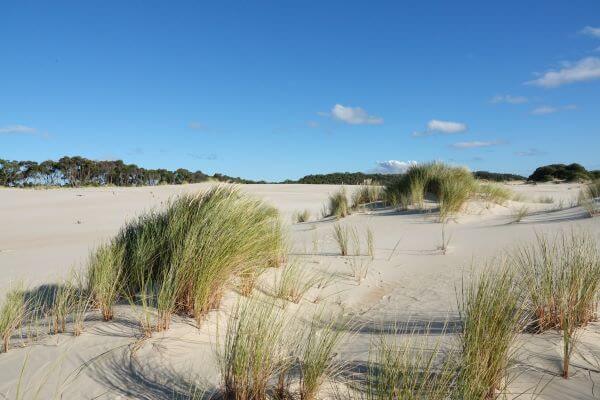 Henty Sand Dunes Strahan