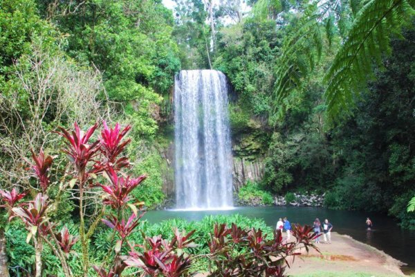 20 Best Waterfalls in Queensland & Nearby Attractions