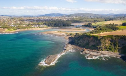 Best Things to Do in Devonport and Day trips