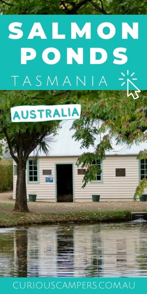 Salmon Ponds Tasmania Review & Attractions