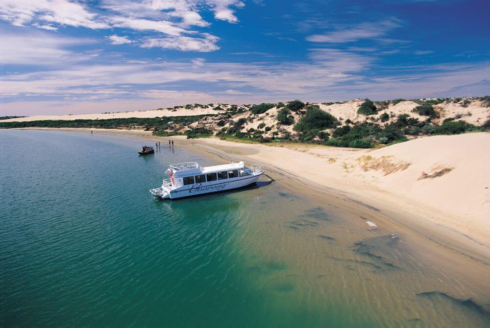 Spirit of the Coorong Tour