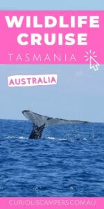 Tasman Island Cruise