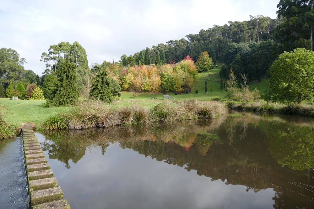 Tasmanian Arboretum